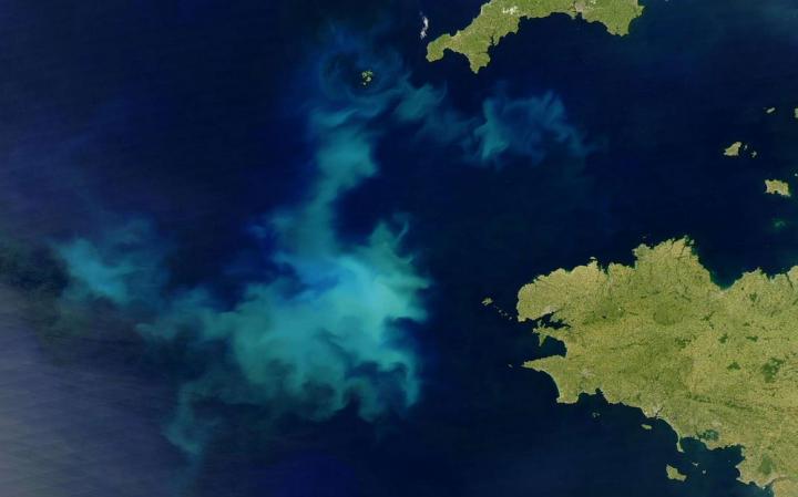 Bloom of Coccolithophores 