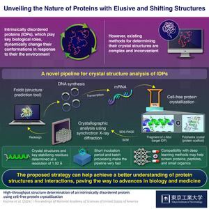 Unveiling the Nature of Proteins with Elusive and shiftint Structure