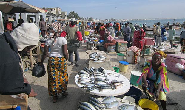 Senegal Market