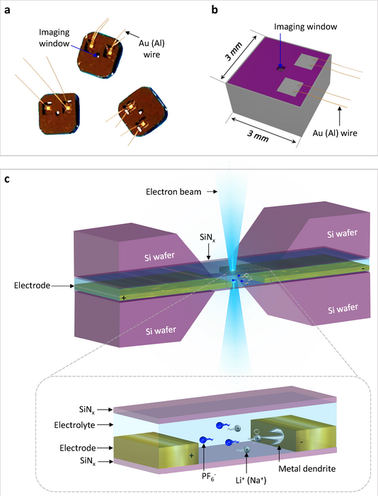 Schematic illustration of the electrochemical liquid cell