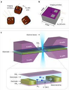 Schematic illustration of the electrochemical liquid cell