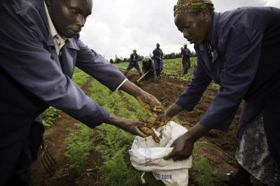 AMPATH: Combating HIV/AIDS in Kenya (1 of 2)