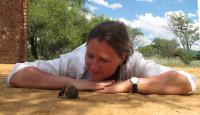 Marie Dacke with a Dung Beetle