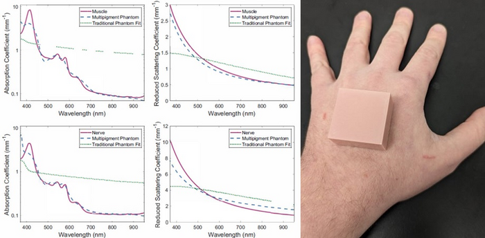 Multipigment phantoms match the optical properties of their target tissue more accurately than traditional phantoms across the entire near infrared–visible light spectrum.