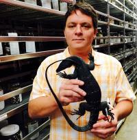Researcher Rafe Brown with New Lizard Species