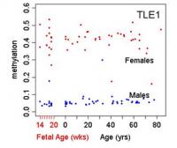 Lifespan Methylation by Gender