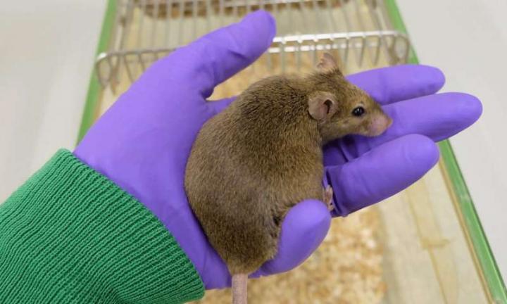 Health in Old Age Is a Lifelong Affair