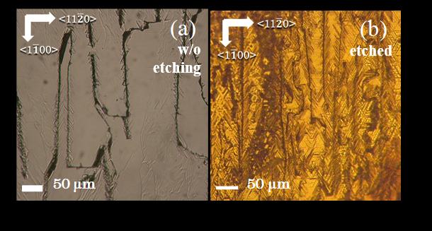 Optical micrograph images for the 3C-SiC photoelectrode surfaces without etching (a) and with etching for 180 min. (b)