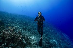 Severely degraded coral reef