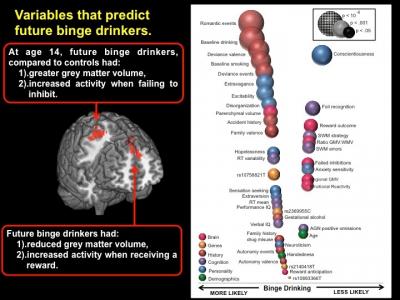 Variables that Predict Future Binge-Drinkers