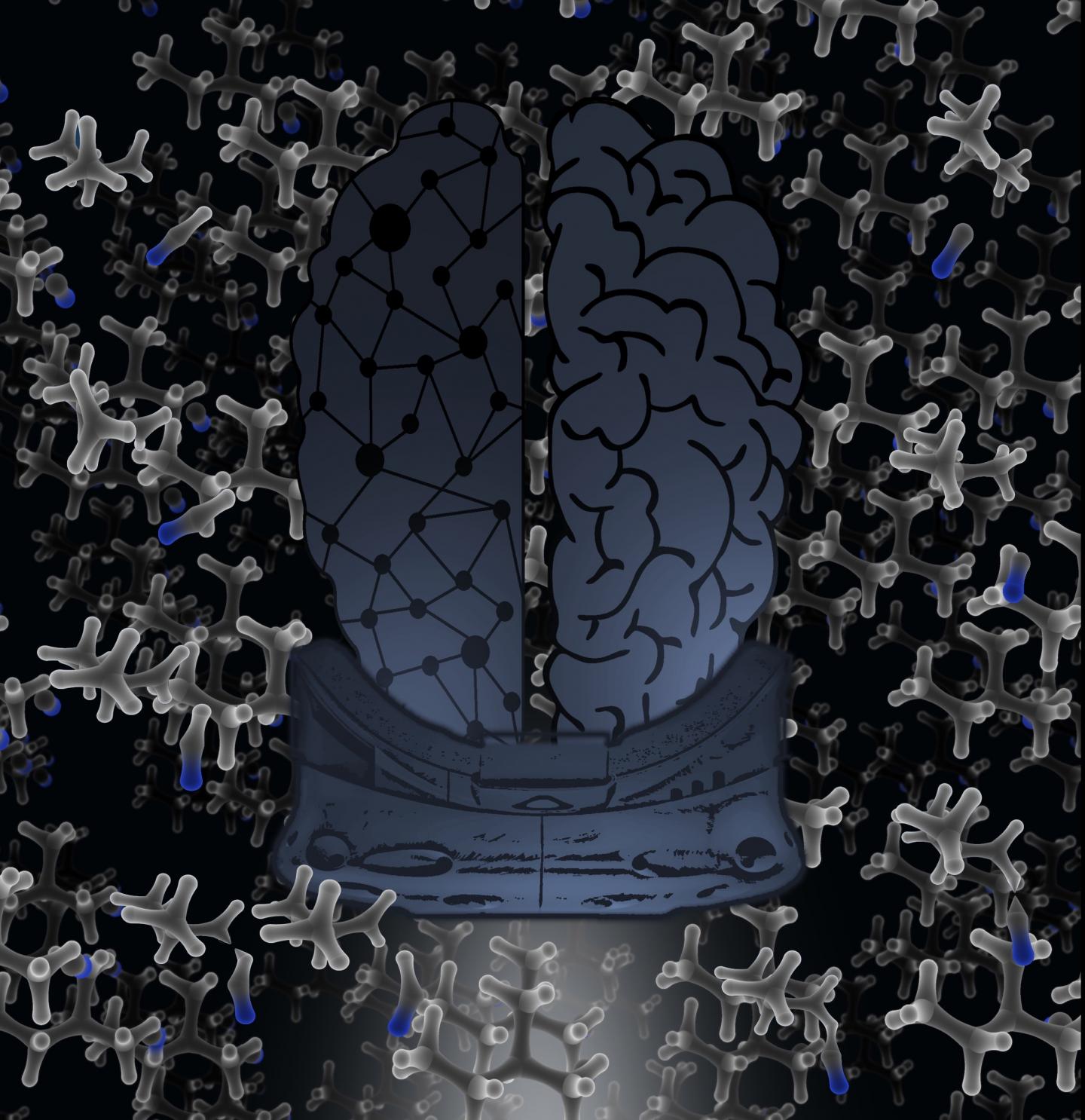 VR Enables Human Experts to Teach Neural Nets Quantum Chemistry