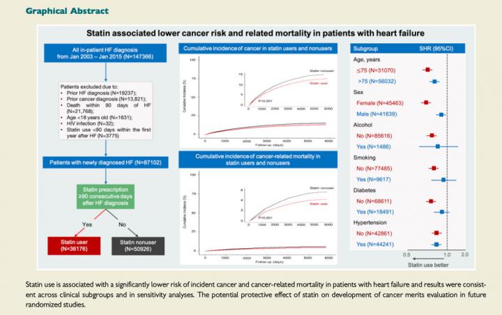 Statin use is linked to reduced risk of cancer among heart failure patients