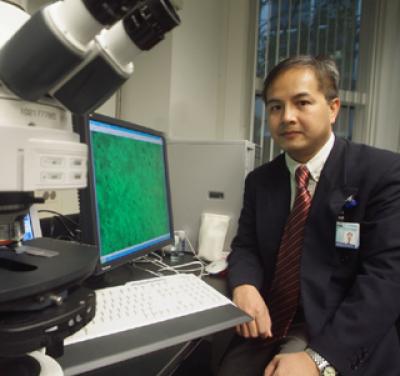 Stem Cell Therapy Studies for Stroke, Cerebral Palsy Prepare for Clinical Trials (1 of 3)