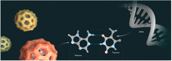 Good gene therapy comes in small packages