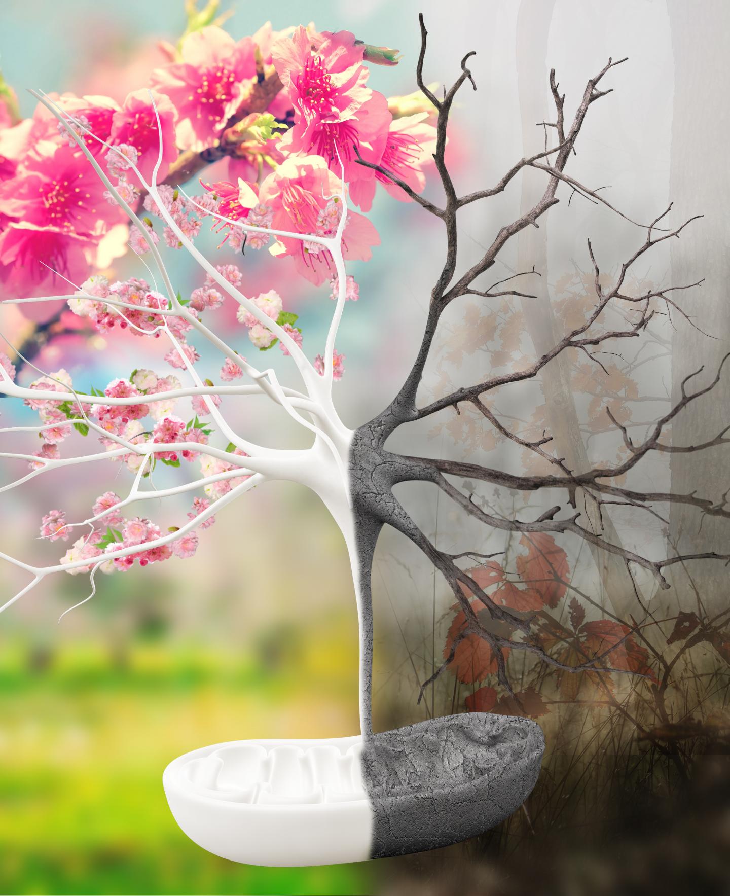 Mertens Illustration