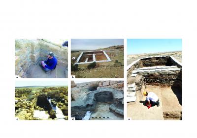 Grape pips reveal collapse of ancient economy in the grip of plague and climate change