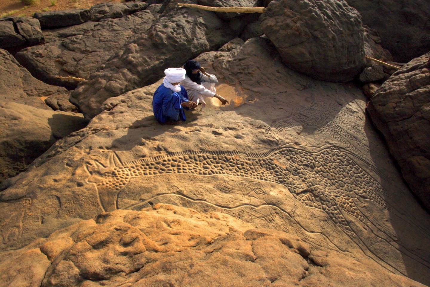 Engraving of Giraffes