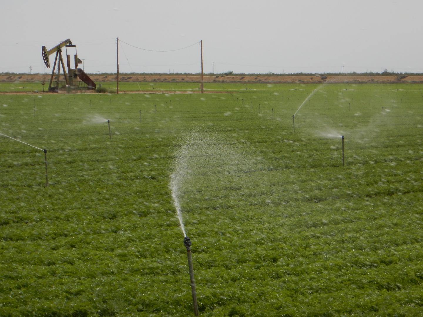 Irrigation