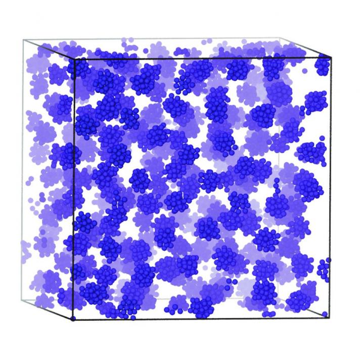 Self-assembled Cluster Fluid