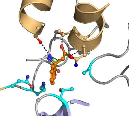 Computational Enzyme Redesign