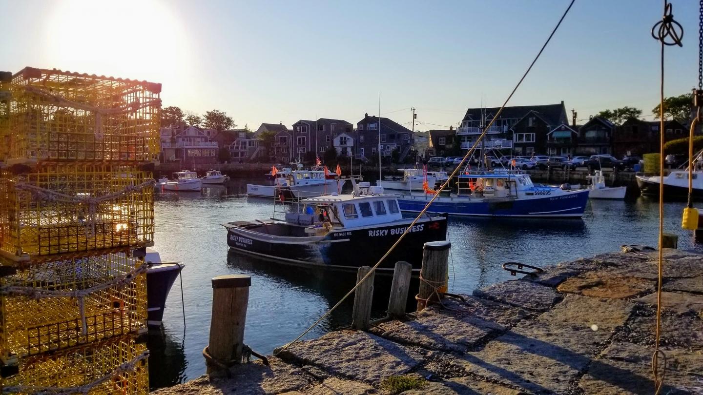 The Link between Climate Change and Job Losses in New England Fishing Industry