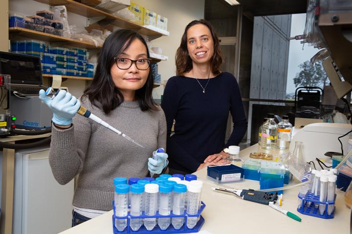 Diana Hargreaves and Jovylyn Gatchalian, Salk Institute