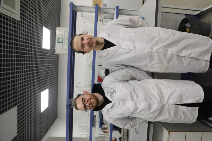 Filipp V. Lavrentev and Valerii A. Shiriaev,  ITMO University