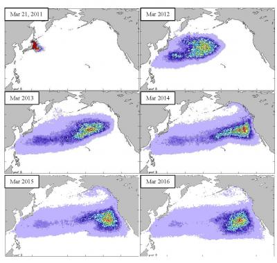 Possible Pathways for Tsunami Debris