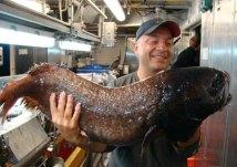 Tracey Sutton, Nova Southeastern University