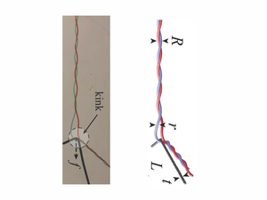 Combing double helix