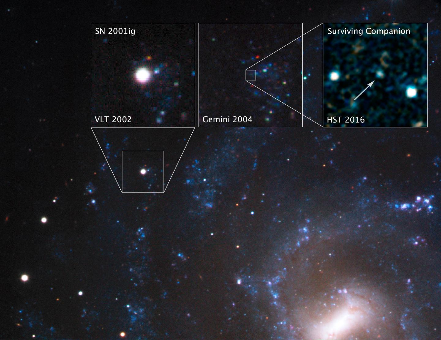 SN 2001ig in NGC 7424