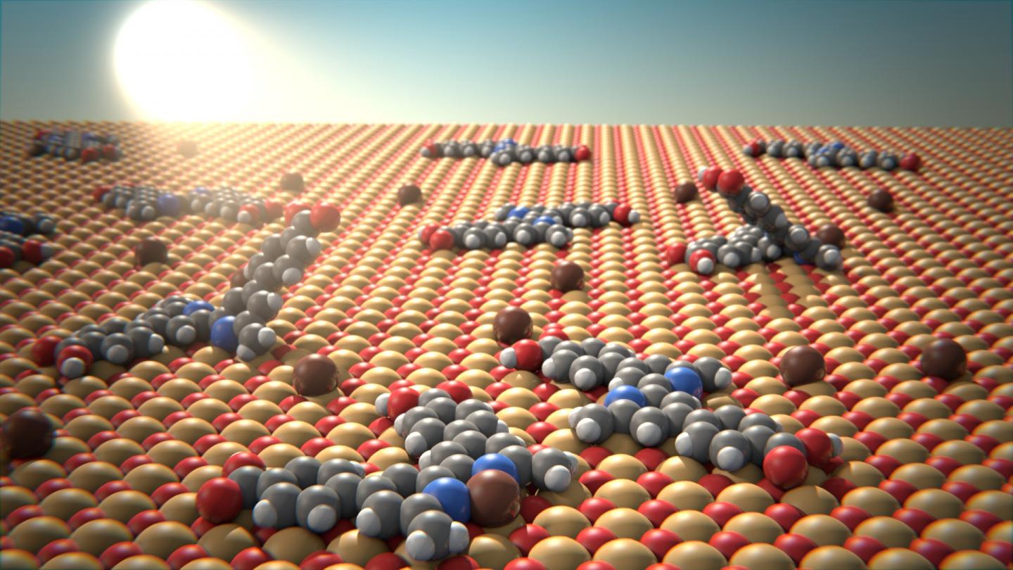 Spatial Arrangement of Bipyridine Molecules on a Surface of Nickel and Oxygen Atoms