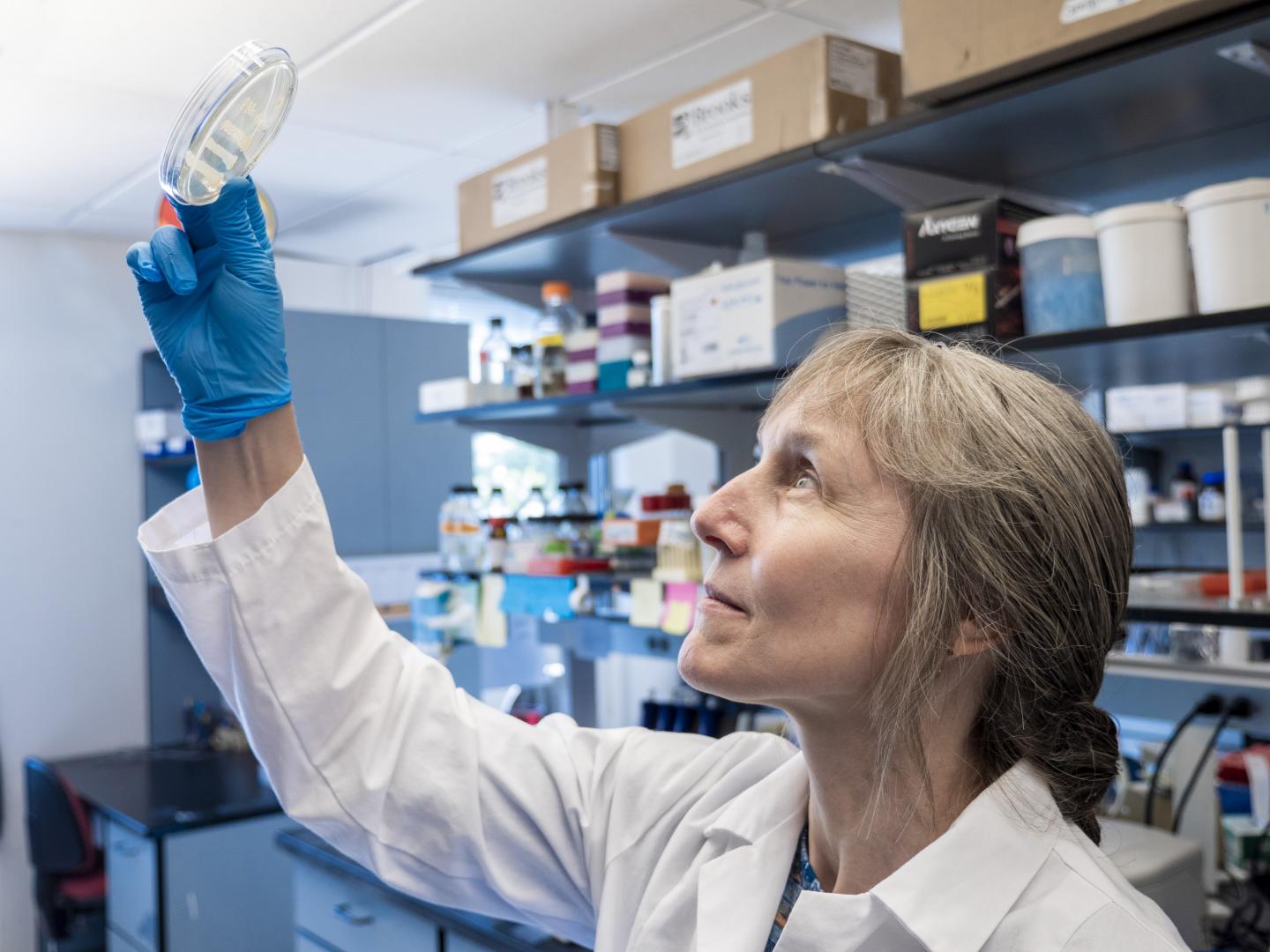 Corrie Detweiler in the Lab at CU Boulder