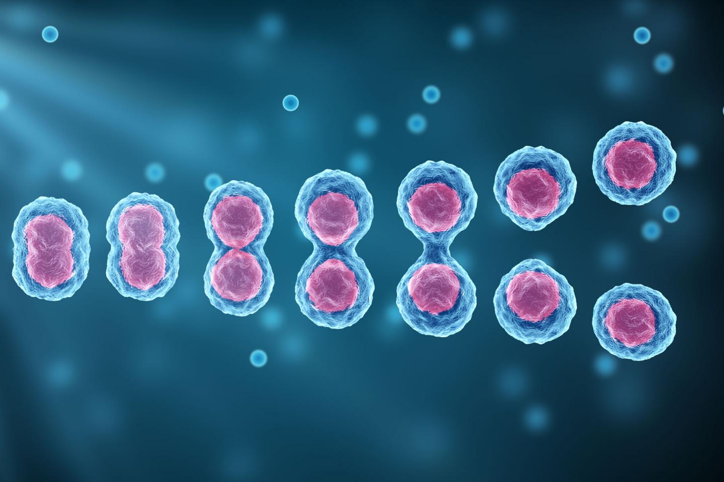 EurekAlert! Science News Releases Biology Diagrams