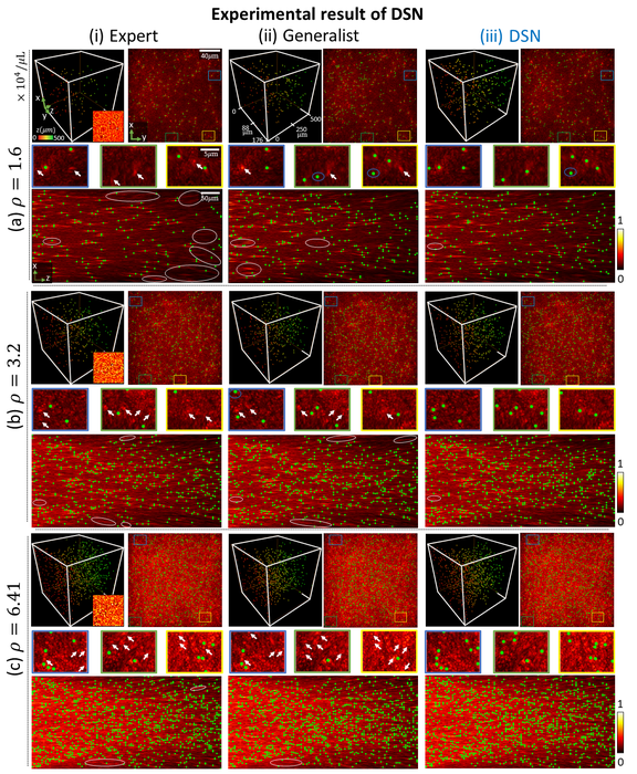 Figure3. Experimental results from of different types of DNNs for different particle densities (ρ) .