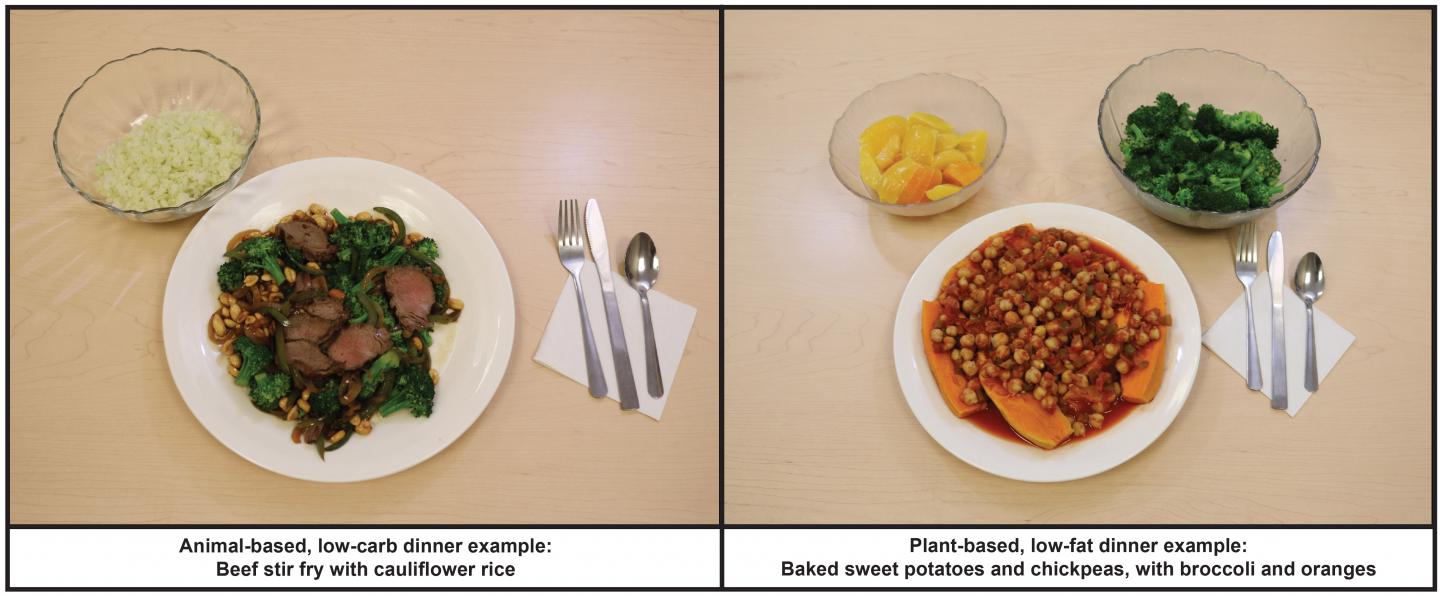 Lowcarb Vs Lowfat Dinner (Examples of Dinners from Each Diet)