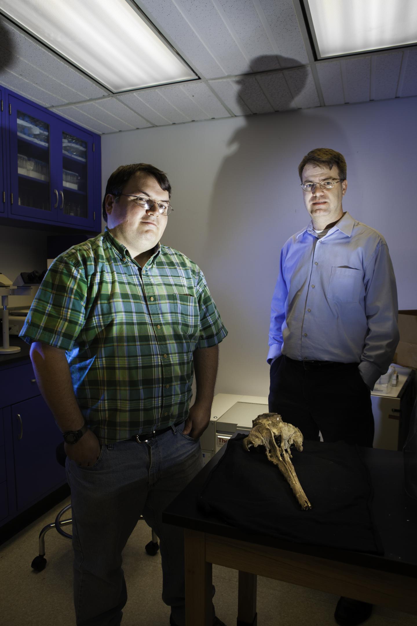 NYITCOM Researchers Name New Fossil Whale