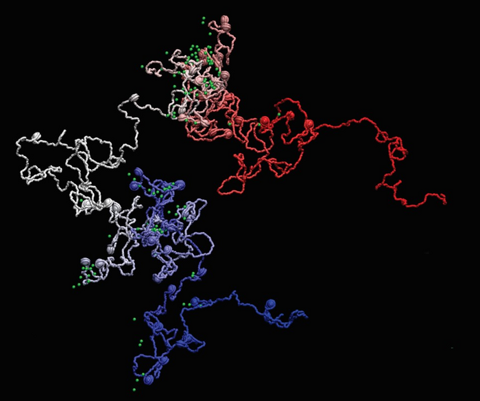 MiOS capturing genes in unprecedented detail