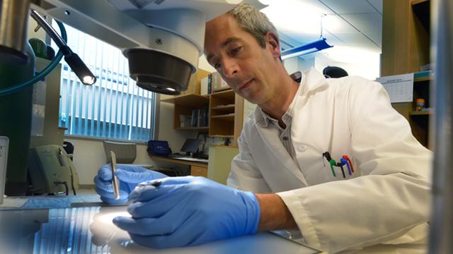 Eric Belin de Chantemele, Medical College of Georgia at Augusta University