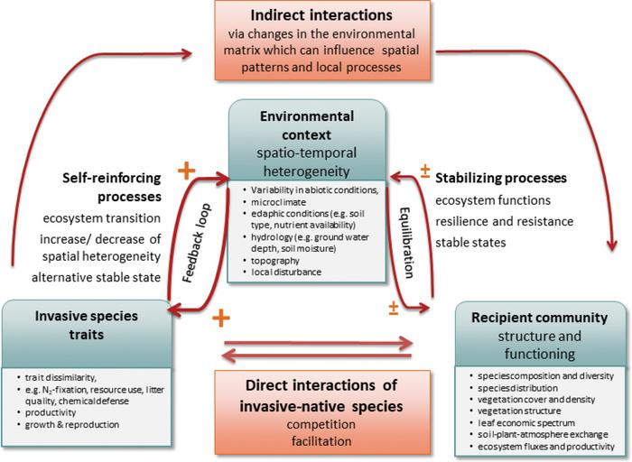 Mechanisms determine plant invasion impact.