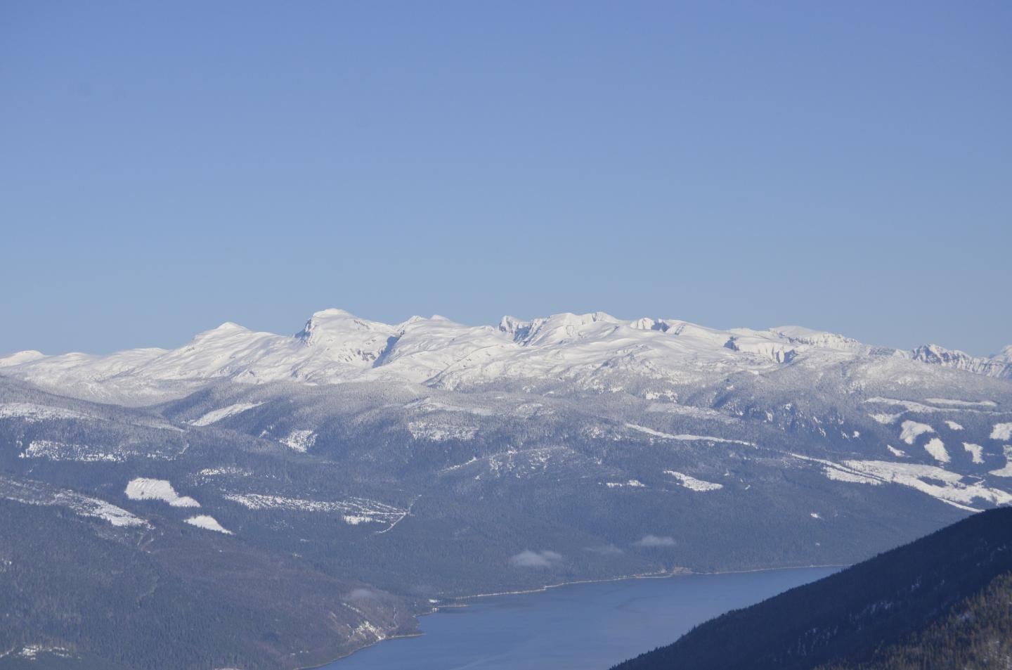 Endangered Woodland Caribou in High-Elevation Winter Habitat, Columbia Mountains, British Columbia