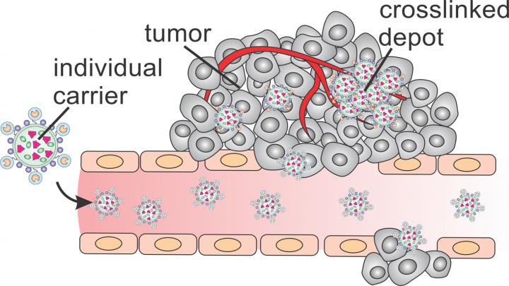 Microscopic 'Depots' Concentrate Drugs Inside Cancer Tumors