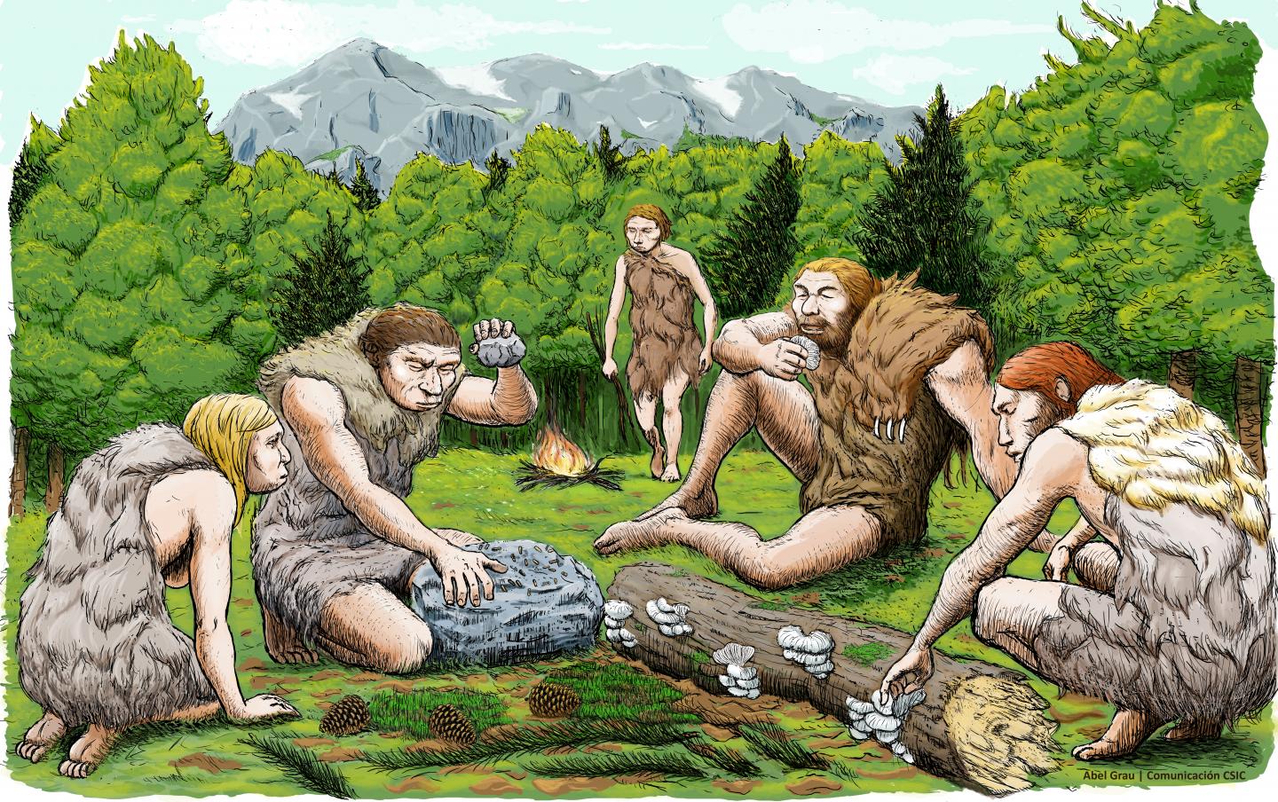 Neanderthals
