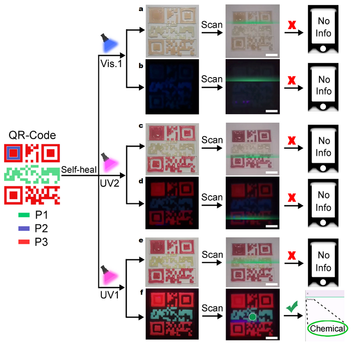 Photographs of the QR code treated by three types of light irradiation and the corresponding scanning process