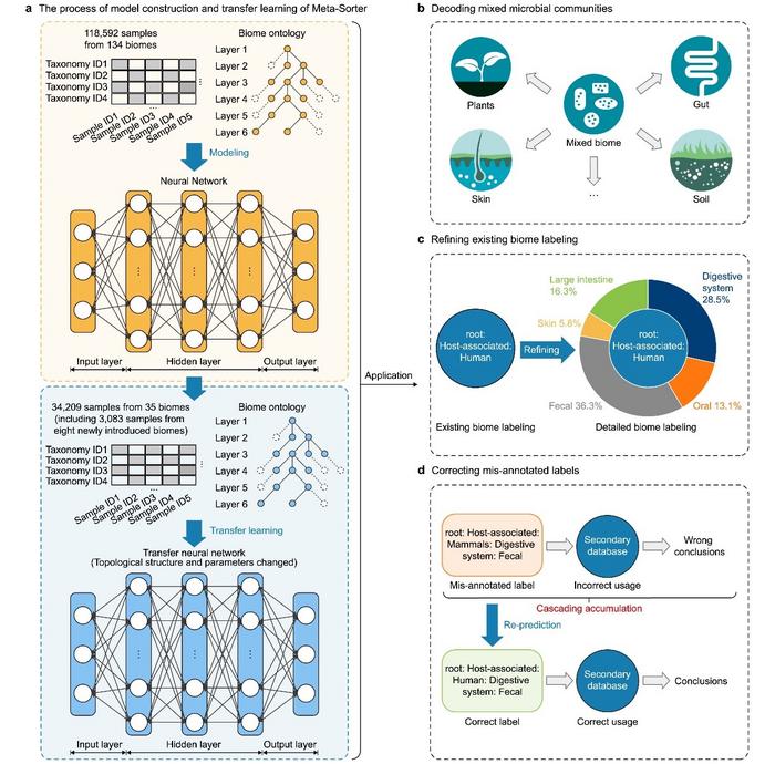 The rationale and applications of Meta-Sorter.