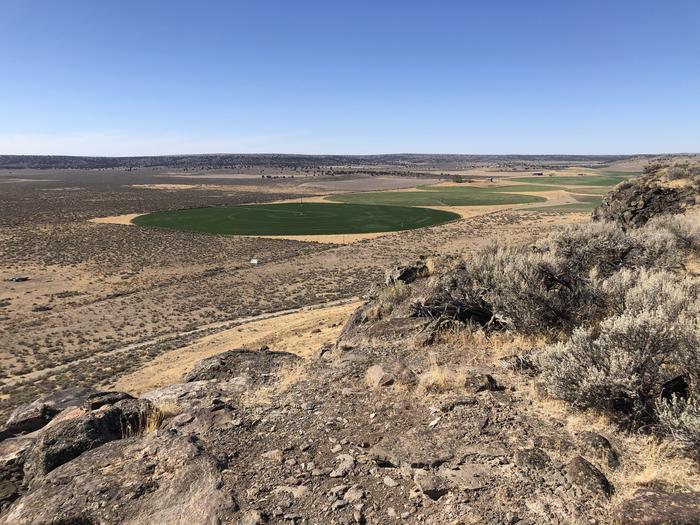 Irrigated fields in the Harney Basin