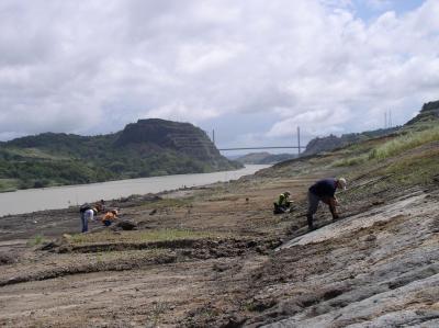 Panama Canal Excavations