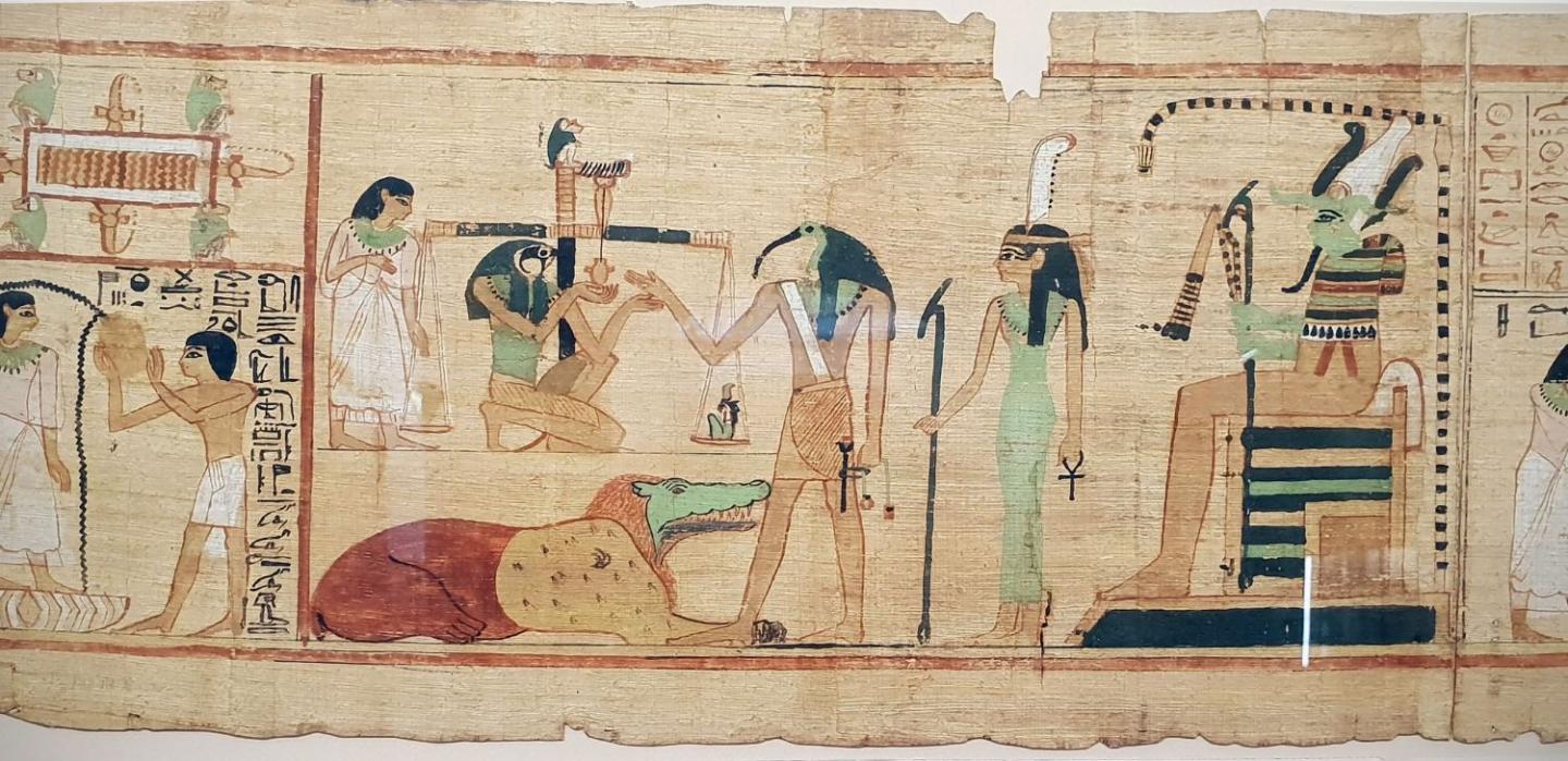 Ancient Egyptians Gathered Birds from the Wild for Sacrifice and Mummification