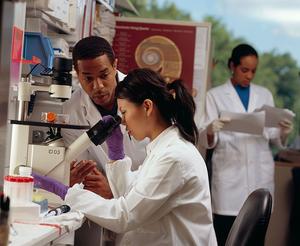 Researchers in Laboratory