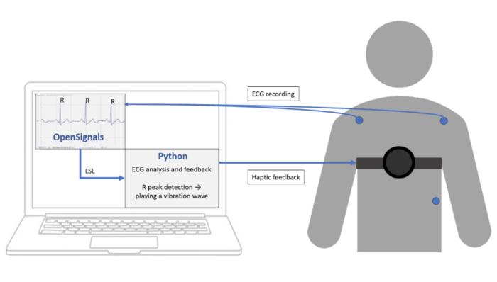 THIS GRAPHIC DEPICTS THE VIBRATION DEVICE WHICH PROVIDES HAPTIC STIMULATION WHILE ECG (ELECTROCARDIOGRAM) SIGNAL IS USED TO PROVIDE PRECISE SYNCHRONIZATION